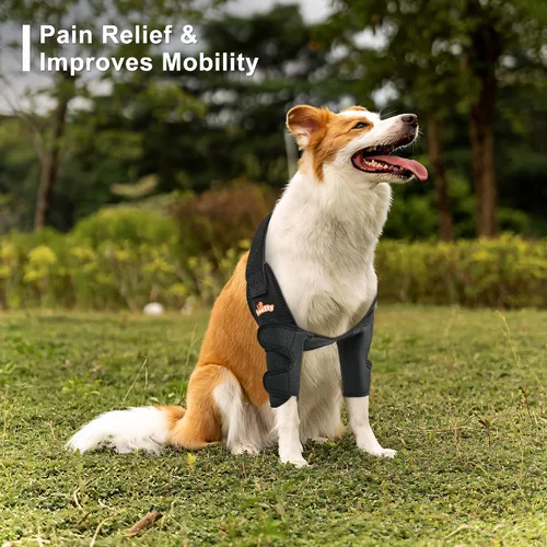 Vista 6 de NeoAlly Almohadillas protectoras para coderas de perro para codo canino y hombro, higroma de codo, displasia, osteoartritis, callos de codo, úlceras