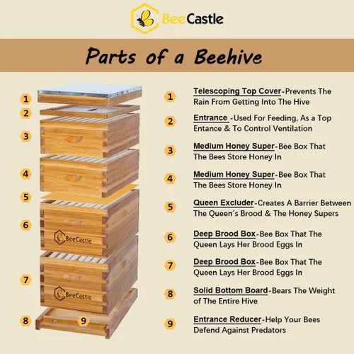 Vista 2 de BeeCastle 8 marcos Langstroth Bee Hive recubierto con cera de abejas, incluye marcos de colmena y bases enceradas