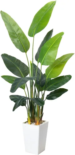 Vista 11 de HAIHONG Árbol artificial de 3 pies, plantas de casa de imitación de hoja perenne Dracaena Marginata, palmeras de yuca falsas en maceta, árbol