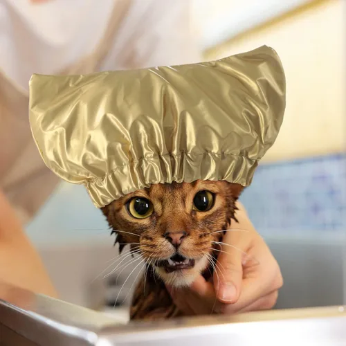 Vista 7 de Gorro de ducha para mascotas, impermeable, reutilizable, con correa ajustable, para gatos y perros, gorro de baño para gatos, perros, gatitos
