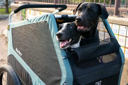 Vista 4 de Burley Bark Ranger™ - Remolque de bicicleta para mascotas