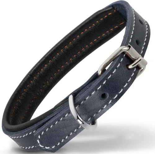 Vista 13 de Filbert Collar de cuero para perro, collar de cuero genuino para perros pequeños, acolchado de lujo, fuerte, ajustable para todas las razas, hebilla