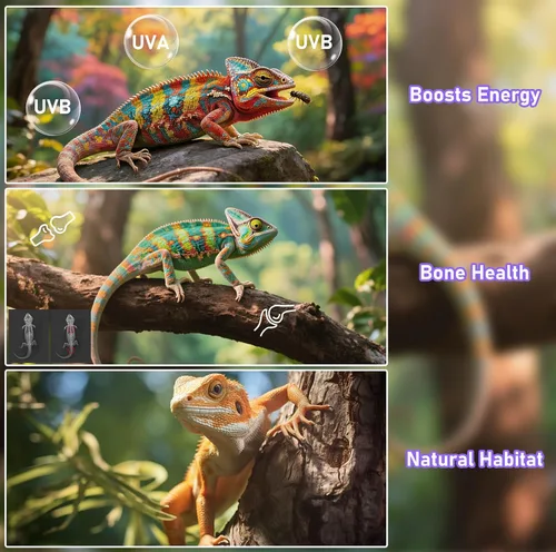 Vista 4 de Lámpara LED UVA UVB para reptiles, 12.0/10.0/5.0 UVB para reptiles de dragón barbudo, con 4 modos UV, atenuación de 10 niveles 6500K y temporizador