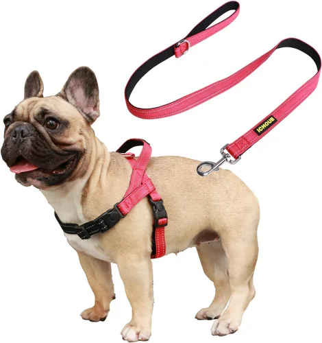 Vista 20 de iChoue Arnés para bulldog francés, ajustable, acolchado, hebilla bloqueada con asa para perros carlino francés, Boston Terrier inglés, azul, talla S