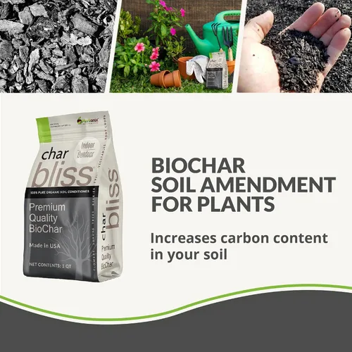 Vista 2 de Kelp Bliss (10 libras) + Char Bliss (8 cuartos de galón) – Fertilizante orgánico de harina de algas y biocarbón orgánico para plantas – Carbón