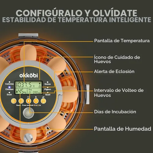Vista 4 de Incubadora de huevos de capacidad 12-20 con torneado automático y vela