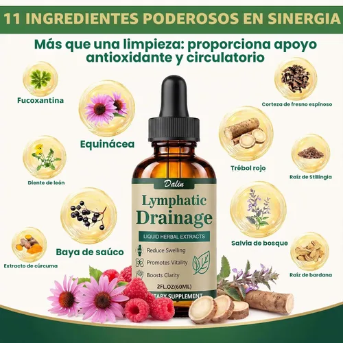 Vista 6 de Dalin Gotas de drenaje linfático liposomal - Suplemento de drenaje linfático orgánico 21 en 1 con raíz de bardana, equinácea, saúco, caléndula