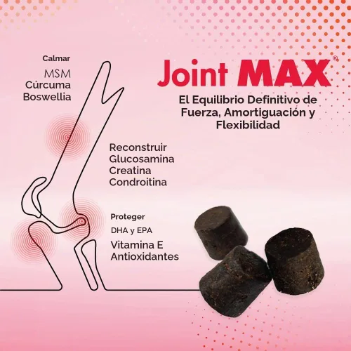 Vista 3 de PHS Joint Max Triple Strength (TS) Masticables suaves para perros, glucosamina, condroitina, MSM, cúrcuma, Omega 3, alivio del dolor de cadera