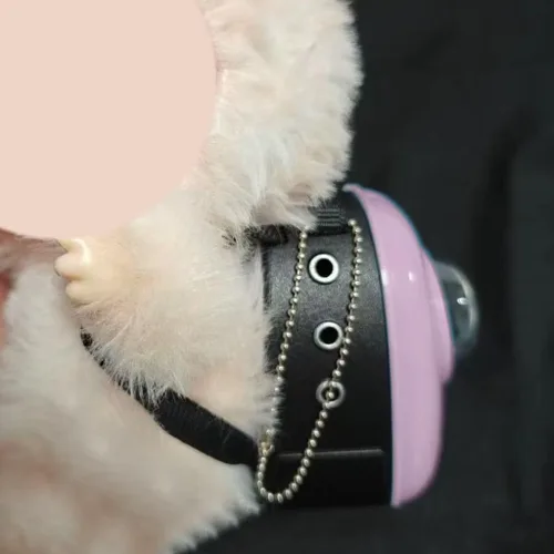 Vista 4 de Mochila de muñeca para Labubu, mini mochila llavero para disfraz de Labubu, lindas bolsas de muñeca para accesorios Labubu