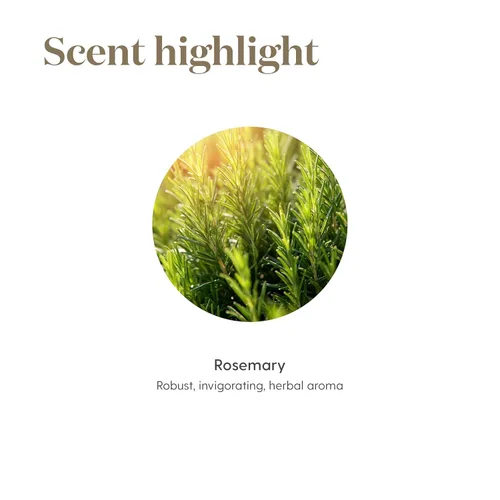Vista 5 de Aceite esencial de romero 0.5 onzas líquidas por Young Living Essential Oils