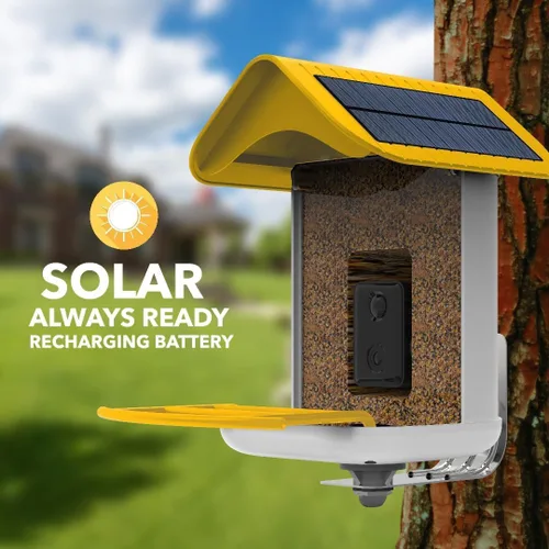 Vista 4 de Fácil configuración rápida, comedero inteligente para pájaros con cámara - Paneles solares duales, video inalámbrico al aire libre de alta