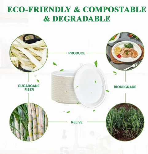 Vista 3 de Vplus Platos de papel ovalados 100% compostables de 10 pulgadas, paquete de 125 platos de papel desechables súper fuertes, bagazo, natural