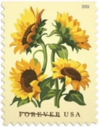 Vista 7 de Girasoles 2026 (Libro de 20) Flores First-Class Mail Forever Sellos postales