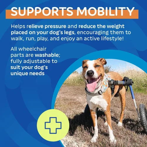Vista 5 de Silla de ruedas de perro para perros pequeños, 26 a 69 libras, de Walkin' Wheels, 2, Azul