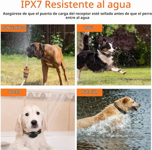 Vista 5 de Collar de entrenamiento para perros, collar de choque para perros IPX7 impermeable con control remoto de alcance de 1300 pies, 3 modos de Naranja