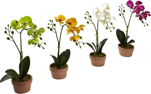 Vista 6 de Nearly Natural Orquídea Phalaenopsis con jarrón de arcilla (juego de 4)