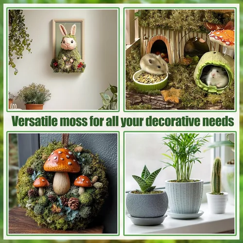 Vista 5 de Alphatool Paquete grande de musgo verde natural de 17 onzas para manualidades, musgo a granel para plantas de interior, jardines de hadas 17 oz