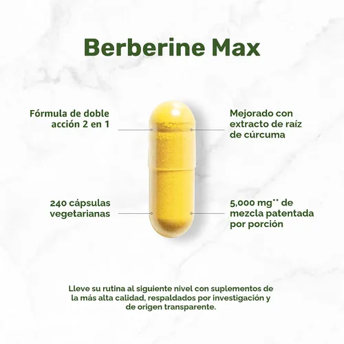 Vista 3 de DEAL SUPPLEMENT Berberine Max Suplemento con cúrcuma, 5,000 mg por porción, 240 cápsulas vegetales – 97% HCl de berberina pura – Extracto de raíz