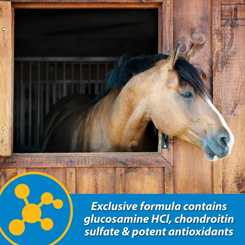 Vista 4 de Farnam Fluidflex Suplemento líquido para articulaciones para caballos, suministro para 128 días, 128 onzas Liquid Joint Supplement for Horses