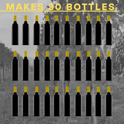 Vista 5 de Master Vintner - El kit de recetas de vino italiano nebbiolo seleccionado sommelier hace 6 galones