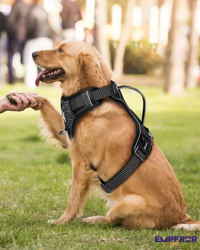 Vista 8 de Emperor Pets Arnés sin tirones para perros pequeños, chaleco Oxford reflectante acolchado suave, 2 clips para correa, ajuste ligero ajustable, negro