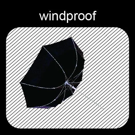 Vista 6 de SMATI París - Paraguas transparente de jaula para pájaros con diseño de constelación - Transparente Resistente al viento Apertura automática Mango