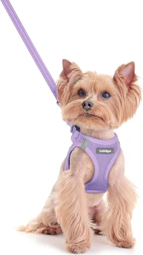 Vista 30 de rabbitgoo Arnés para perro de tamaño pequeño y juego de correa, chaleco Cachorros de manzana