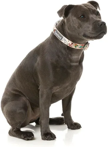 Vista 2 de FuzzYard Ink'd Up - Collar de perro de la vieja escuela, diseño de tatuaje, ajustable con cierre de seguridad (mediano)