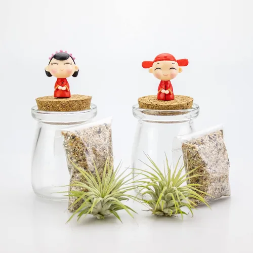 Vista 4 de Kit de terrario de 3 pulgadas con mini tarro de vidrio de Tillandsia Ionantha vivo, arena, vidrio marino de colores y figura miniatura para jardines