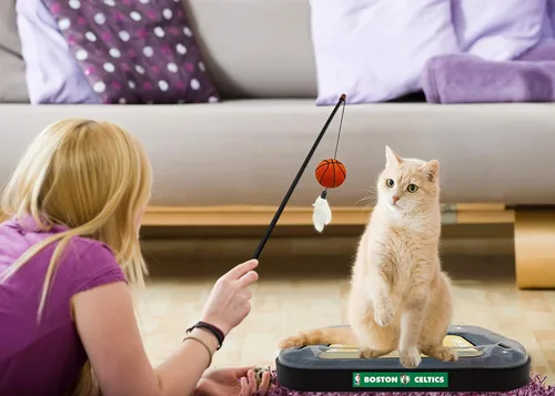 Vista 5 de Pets First Boston Celtics - Rascador de baloncesto para gatos, 14 x 11
