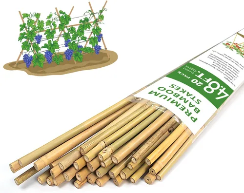 Vista 8 de Estacas para Plantas, Estacas de Bambú Natural Más Largas de 3 Pies, GAGINANG 25 Piezas de Varillas de Bambú Soporte de Enrejado para Tomate