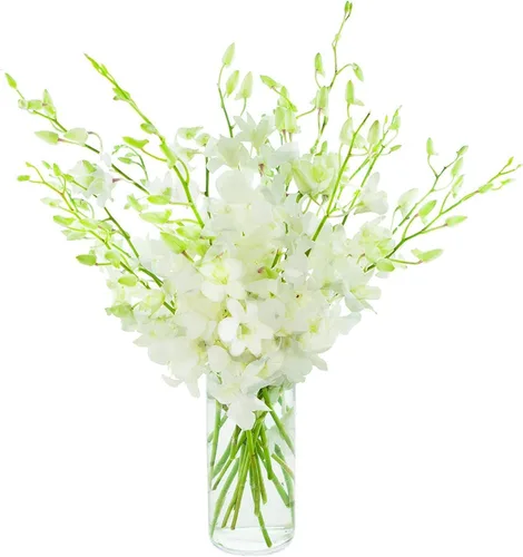 Vista 6 de eflowerwholesale - Orquídeas Moradas de Corte Premium (Apoya Pequeños Negocios) (Azul, 10 Tallos con Florero)