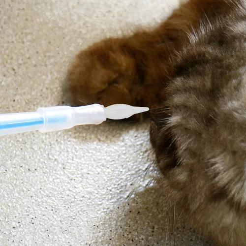 Vista 7 de Mikikit 20 pezones duraderos para gatitos y cachorros, para una fácil alimentación, para gatitos y cachorros recién nacidos, diseño portátil ligero