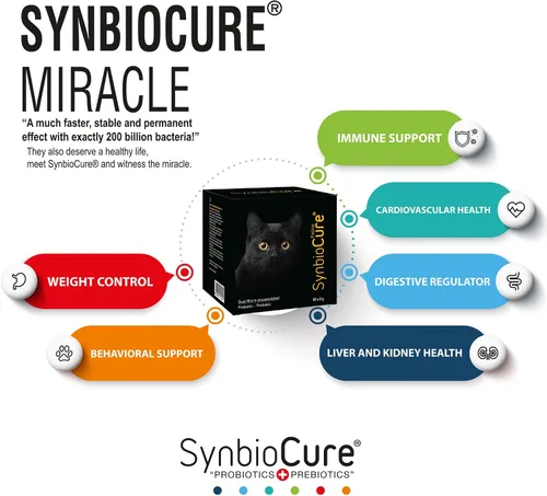 Vista 4 de I Probióticos y prebióticos para gatos I Polvo Suplemento para gatos I Apoyo a la salud digestiva I 200 mil millones de bacterias por bolsita I 30
