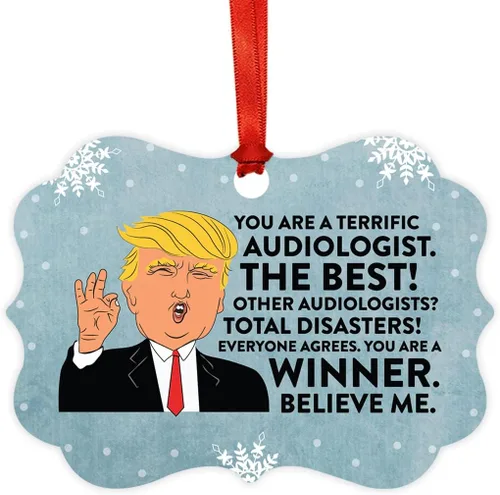 Vista 24 de Andaz Press Presidente Donald Trump Fancy Frame Recuerdo Adorno de Navidad Regalo de broma Ejecutivo de Cuenta, 1 paquete, Divertidas Ideas