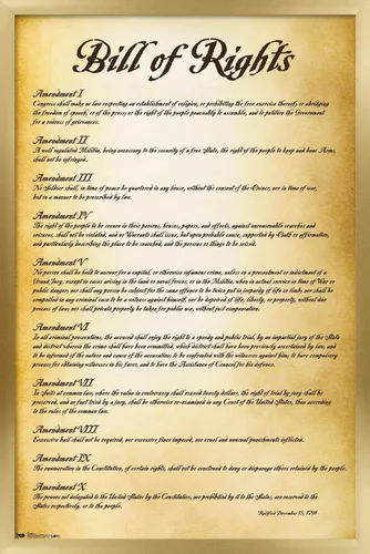 Vista 14 de Trends International The United States of America - Póster de pared de Carta de Derechos, 14.725 x 22.375 pulgadas, versión enmarcada de madera