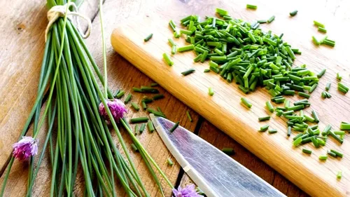 Vista 3 de Cebollino Allium Schoenoprasum Semillas de jardín de hierbas de ajo silvestre para plantar alrededor de 100 semillas