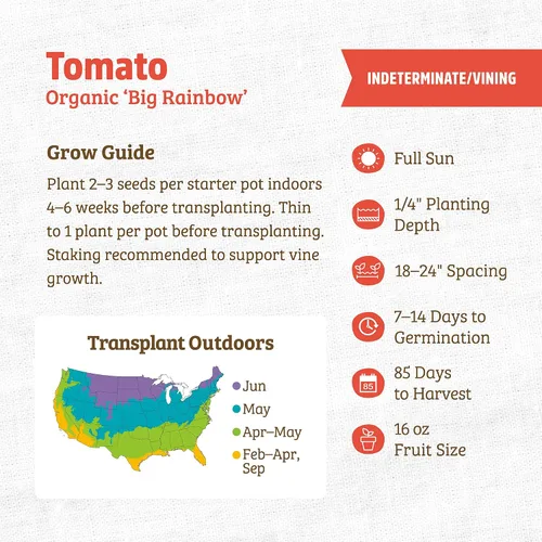 Vista 3 de Back to The Roots Paquete de semillas 100% orgánicas - Tomate 'Big Rainbow' 100mg Paquete de Semillas de 2ct - Tomate 'San Marzano