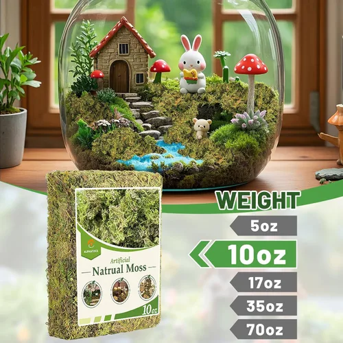 Vista 6 de Musgo verde natural de 10 onzas para principiantes, musgo de inicio para plantas de interior, jardines de hadas artificiales, mini mosswall