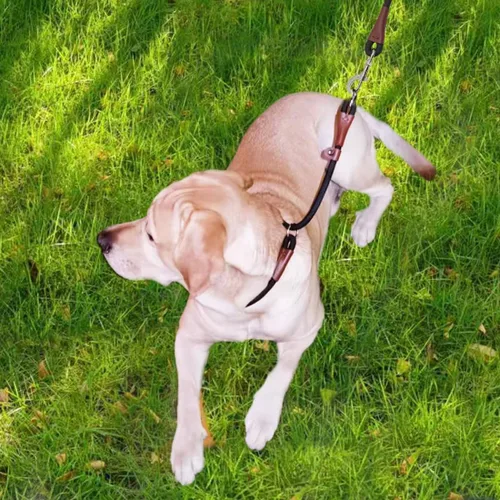 Vista 8 de MayPaw Collar ajustable de cuerda de nailon para entrenamiento de perros, collares de perro Martingala redondos sin tirones para perros pequeños