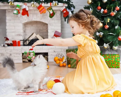 Vista 4 de Whatsign Adornos de marco de fotos de gatos, decoración de recuerdo colgante de Navidad para árbol de Navidad, adornos personalizados para gatos