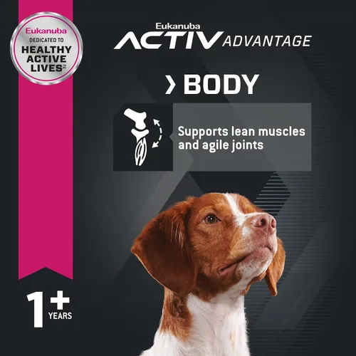 Vista 6 de Eukanuba Alimento seco para perros adultos de raza media, bolsa de 16 libras para adultos con cordero y arroz, lata de 13.2 onzas (12 unidades)