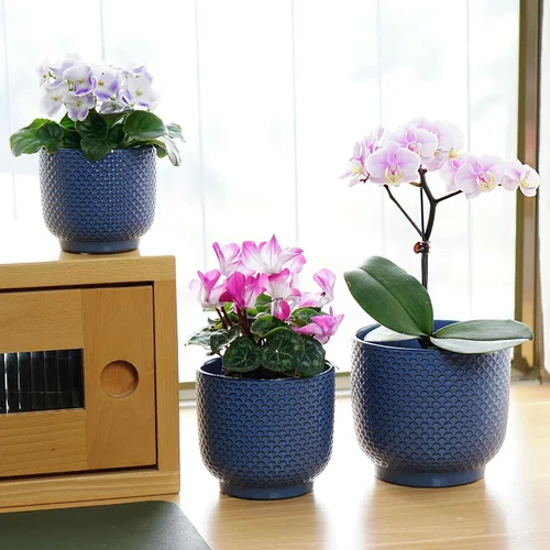 Vista 5 de Macetas de cerámica de 4 + 5 + 6 pulgadas para plantas de interior, macetas para plantas suculentas, maceta de orquídea con orificio de drenaje Azul