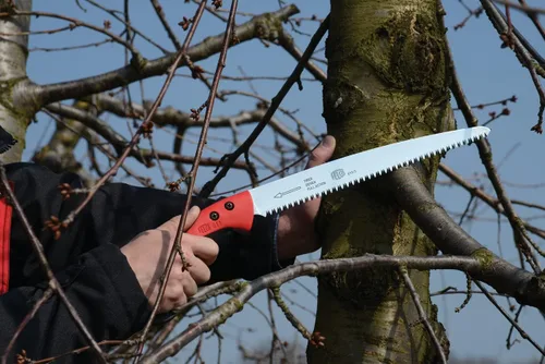 Vista 5 de FELCO 611 Sierra de podar – Sierra recta de tracción para poda de árboles y silvicultura Cortador de ramas de árbol Sierra de mano con hoja