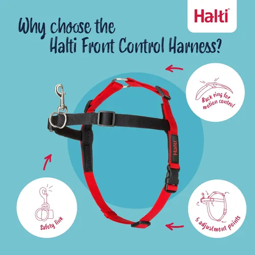 Vista 3 de Halti Arnés de control frontal tamaño mediano y correa de entrenamiento Halti tamaño grande, paquete combinado negro – evita que tu perro tire