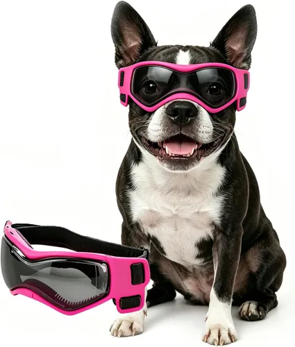 Vista 10 de Gafas para perros de razas pequeñas, lentes de sol para perros pequeños con protección UV, gafas para mascotas al aire libre, para equitación Negro