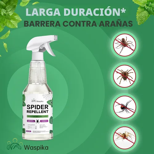Vista 4 de Aceite de menta, repelente de insectos y arañas, repele y mata hormigas e insectos, control de plagas natural extra fuerte a base de plantas