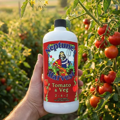 Vista 6 de Neptune's Harvest Fertilizante de fórmula de tomate y verduras TV136, 36 oz (Тwo Рack)
