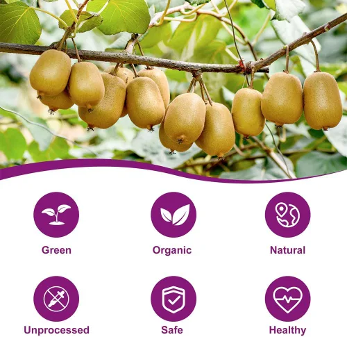 Vista 7 de Silvervine - Palitos para gatos con hierba gatera natural para gatos y gatos masticables, palitos para masticar dientes, juguetes para masticar