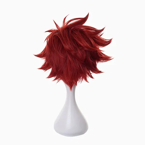 Vista 3 de XiongXiongLe SK8 Peluca de anime REKI rojo vino, peluca corta de repuesto de fibra resistente al calor, para hombres, niños, para juegos de rol
